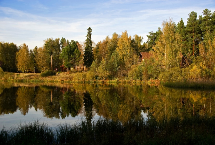 Природное Золотое кольцо